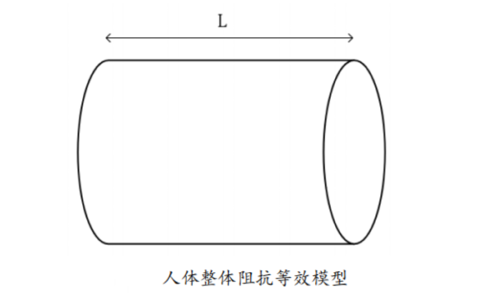 脂的？数据准确吗？一起来了解瓦力游戏体脂秤是怎么测出体(图3)